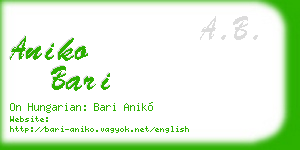 aniko bari business card